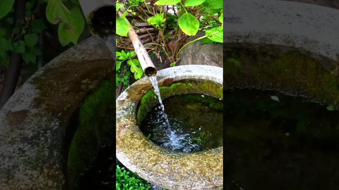 家康公の幼少期を想う｜静岡　小梳神社｜ogushijinja shizuoka Japan